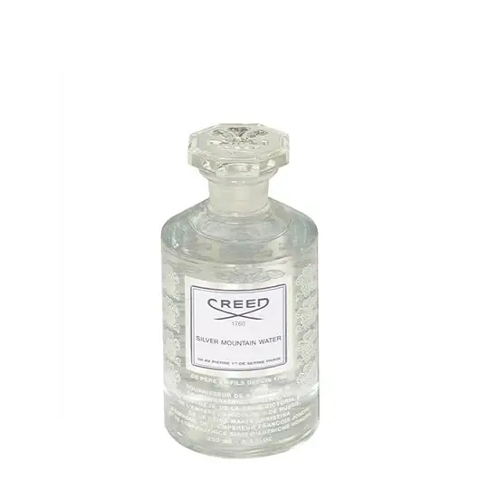 Silver Mountain Water Eau de Parfum 250 ml