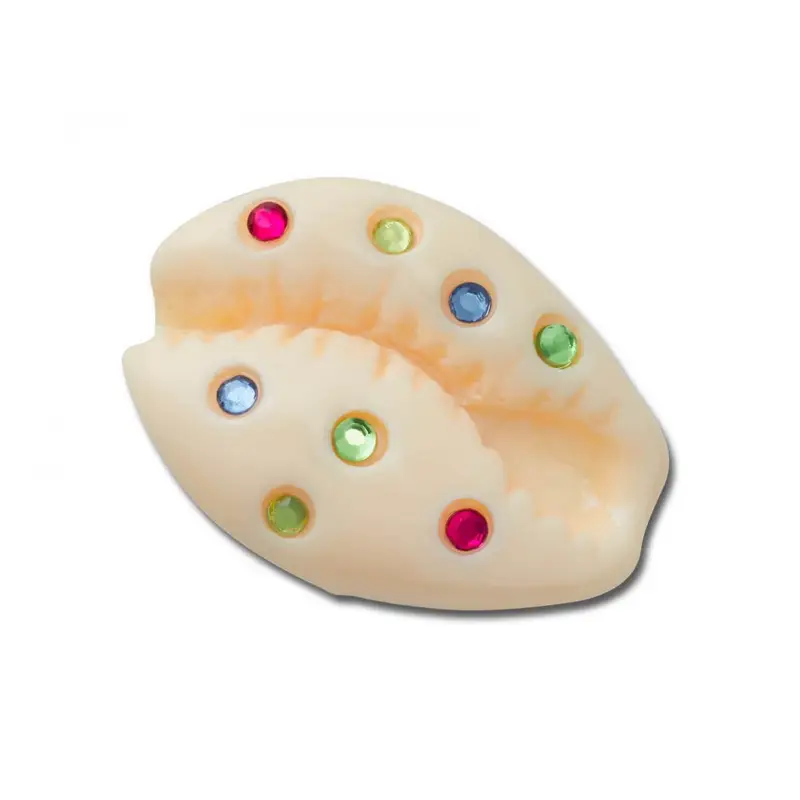 Gem puka shell UCOL