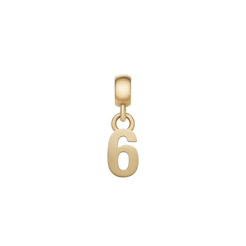 DW Charm Number 6 Gold
