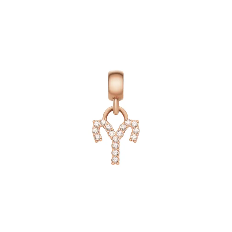 DW Charm Zodiac Rose Gold