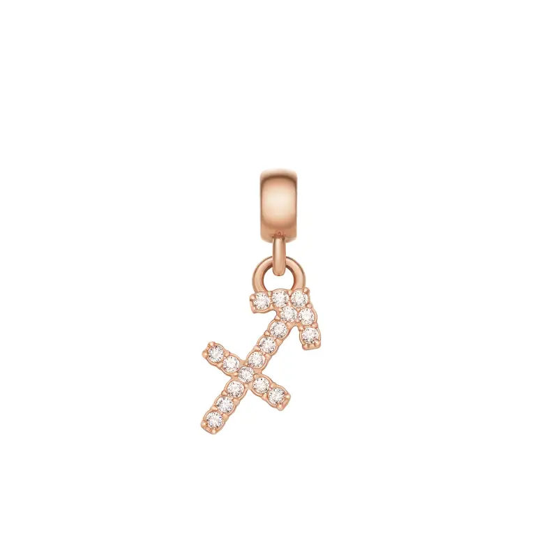 DW Charm Zodiac Rose Gold
