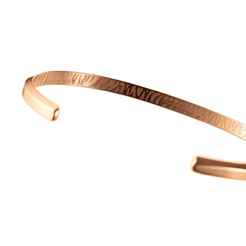 DW Classic Bracelet Tiger Rose Gold