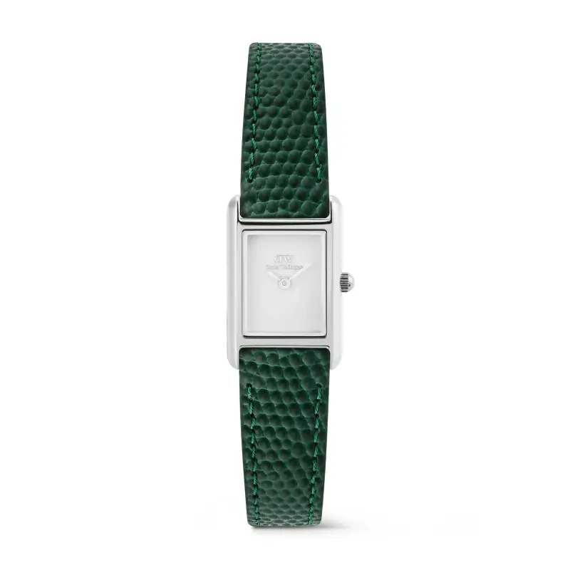 DW Orologio Bound Mini Green Lizard Silver