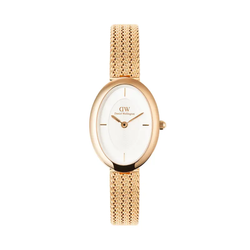 Orologio Daniel Wellington DW00100883 Oro