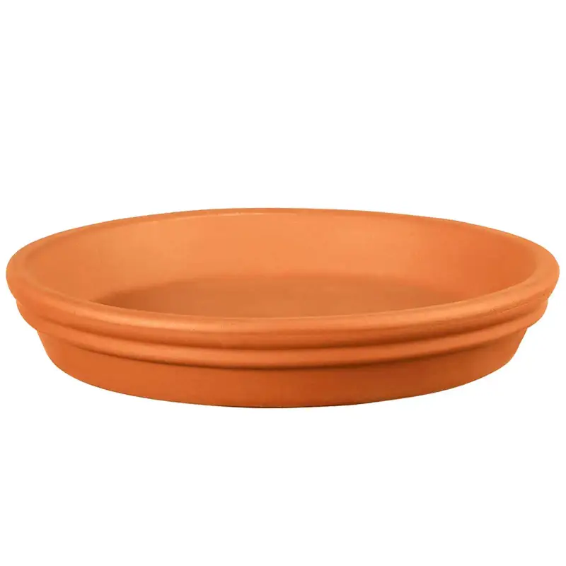 Sottovaso Décolines Ancestral Ø 31