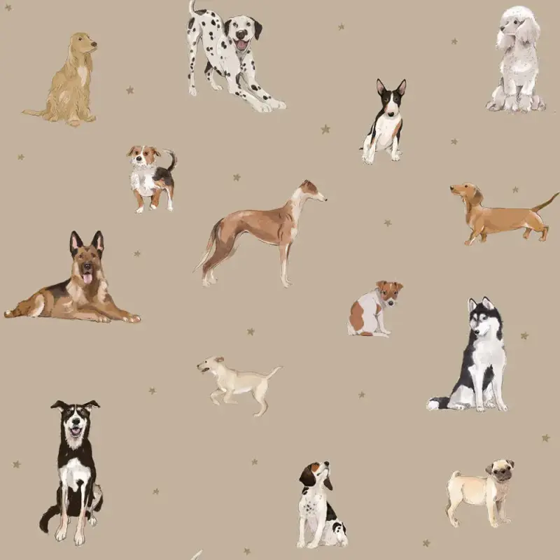 Carta da parati per bambini Dekornik Dogs Are The Best