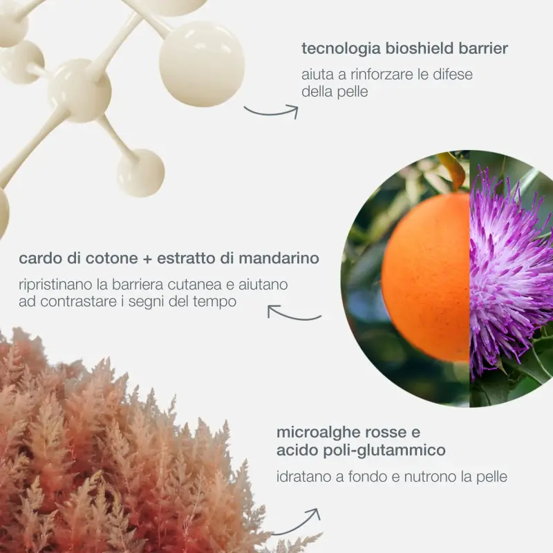 Dynamic Skin Dynamic Skin Strenghtening Serum - Crema viso pelle secca, Trattamento viso antirughe miniatura 3