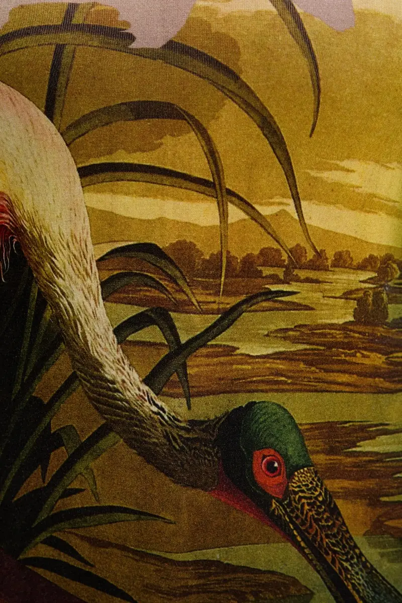 camicia a maniche lunghe JAPON LACROIX donna colore beige 25WWTK38 miniatura 5