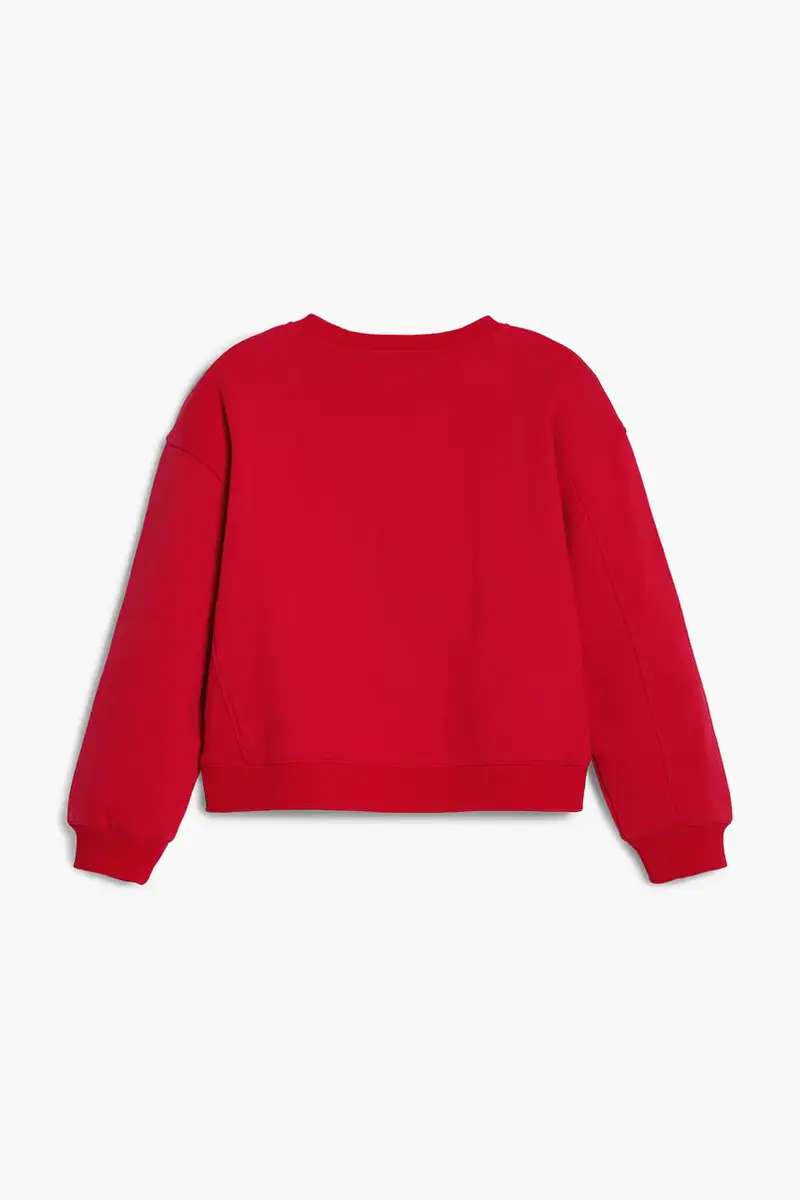 felpa in cotone bambino/a colore rosso con applicazione 25WGSK07 miniatura 2