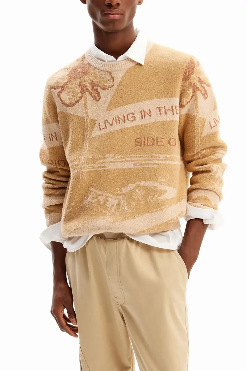 Maglione jacquard auto BROWN miniatura 2