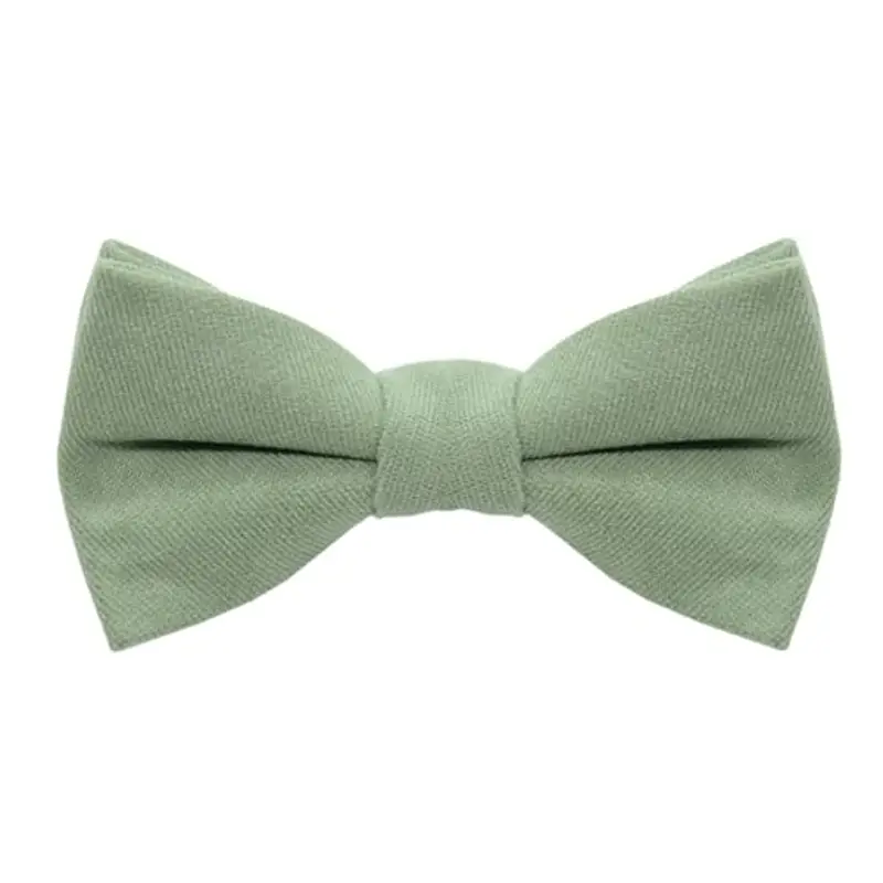 DHSBGWSX Papillon Ragazzo Verde 1202490