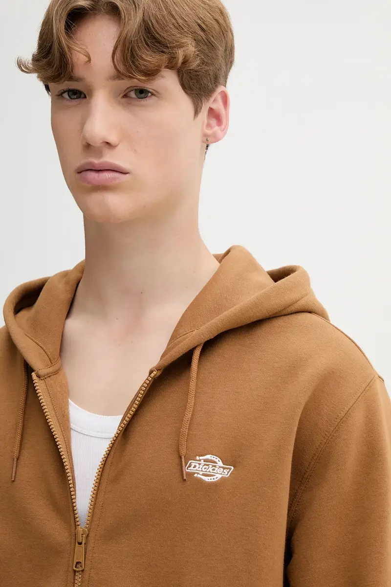 felpa SUMMERDALE ZIP THROUGH uomo colore grigio con cappuccio DK0A4YQA Marrone miniatura 4