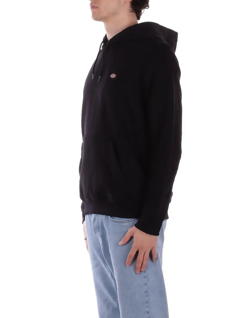 Felpa Uomo DICKIES Black Oakport hoodie miniatura 2