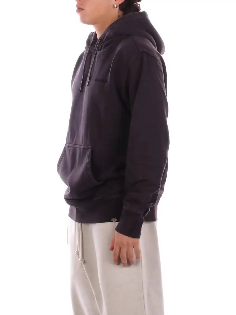 Felpa Uomo DICKIES Black Plentywood hoodie miniatura 2