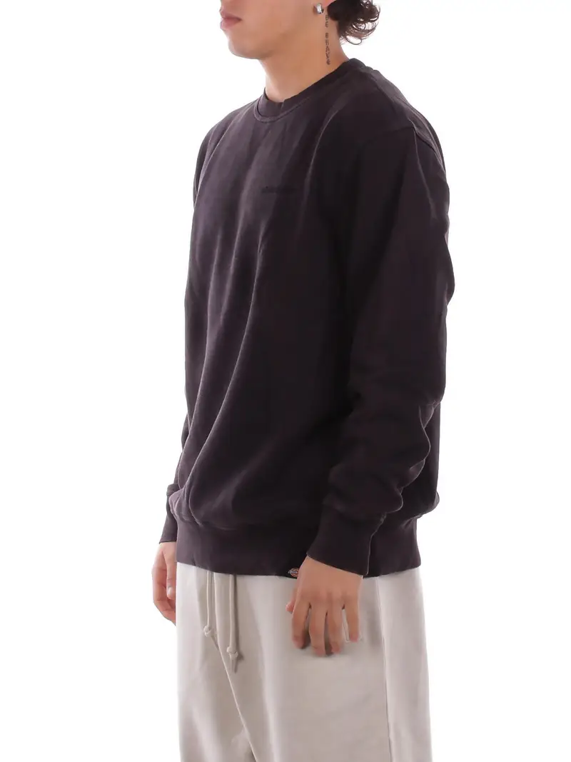 Felpa Uomo DICKIES Black Plentywood sweatshirt miniatura 2