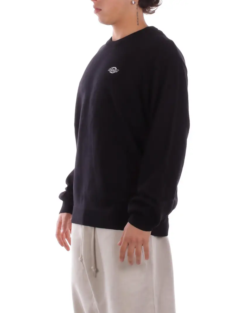 Felpa Uomo DICKIES Black Summerdale sweater miniatura 2