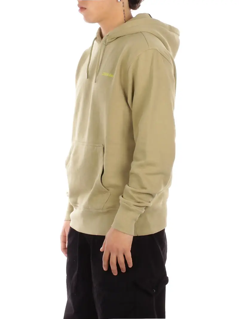 Felpa Uomo DICKIES Green Plentywood hoodie miniatura 2