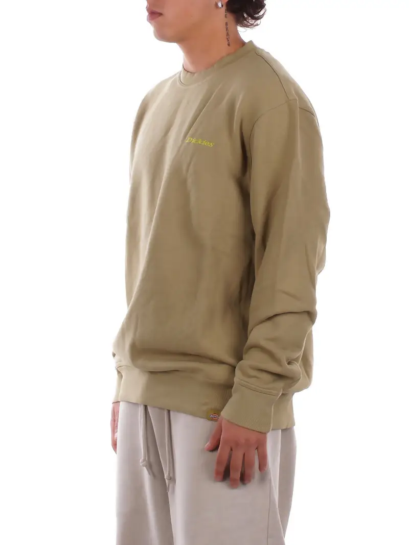 Felpa Uomo DICKIES Green Plentywood sweatshirt miniatura 2