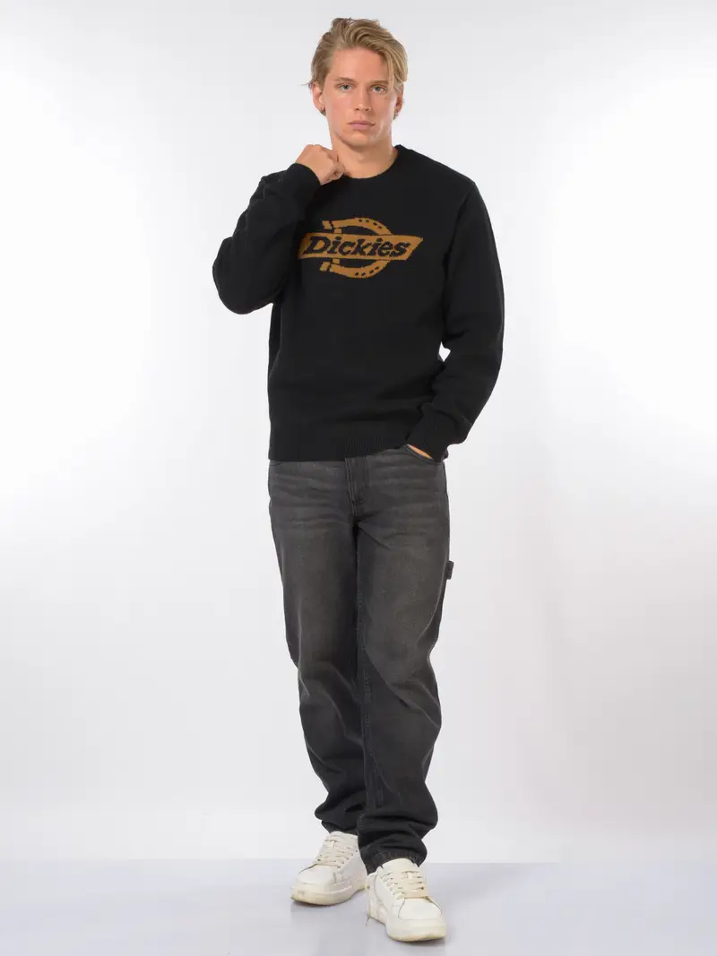 maglia da uomo Dickies girocollo maxi logo NERO miniatura 2