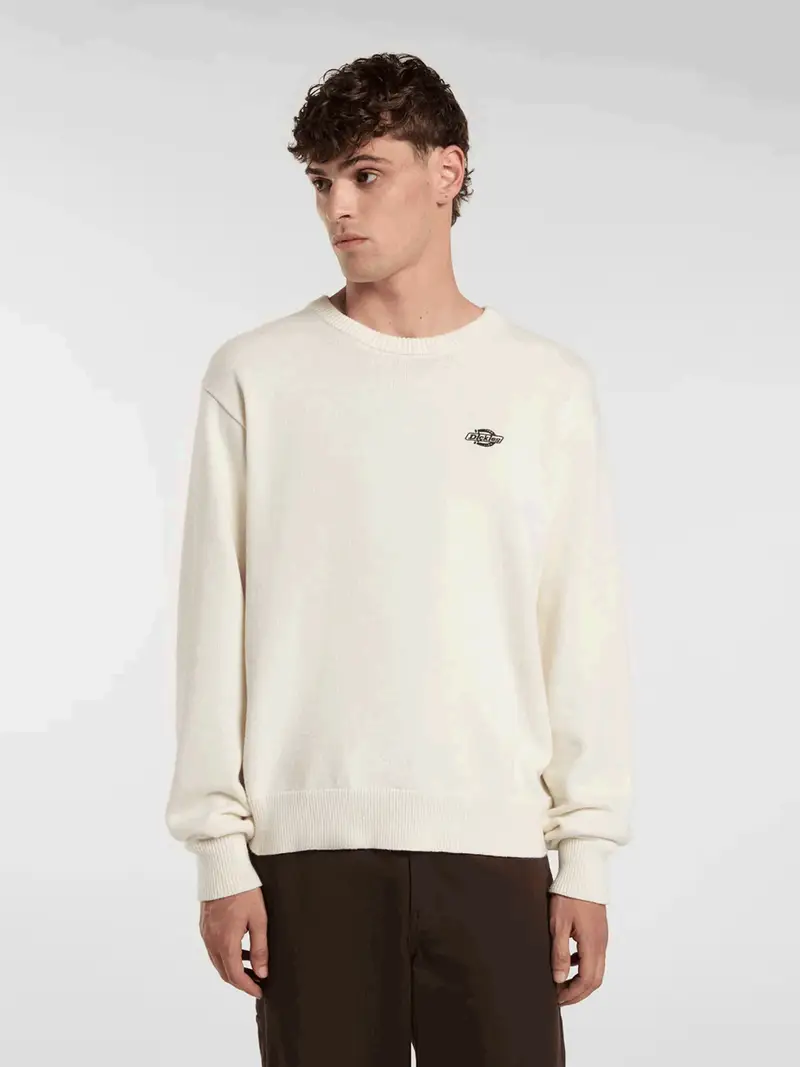 maglie uomo dickies summerdale sweatshirt - dk0a4y6q c481 egret BEIGE