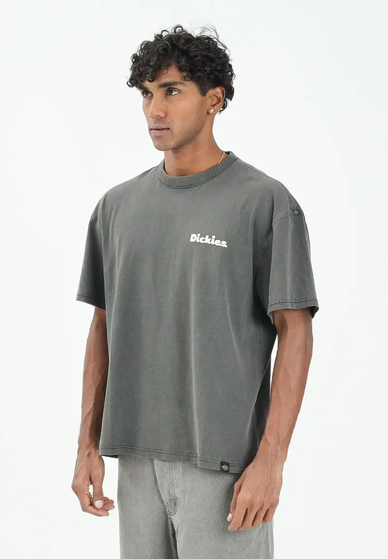 Dickies T-shirt Uomo 3103738