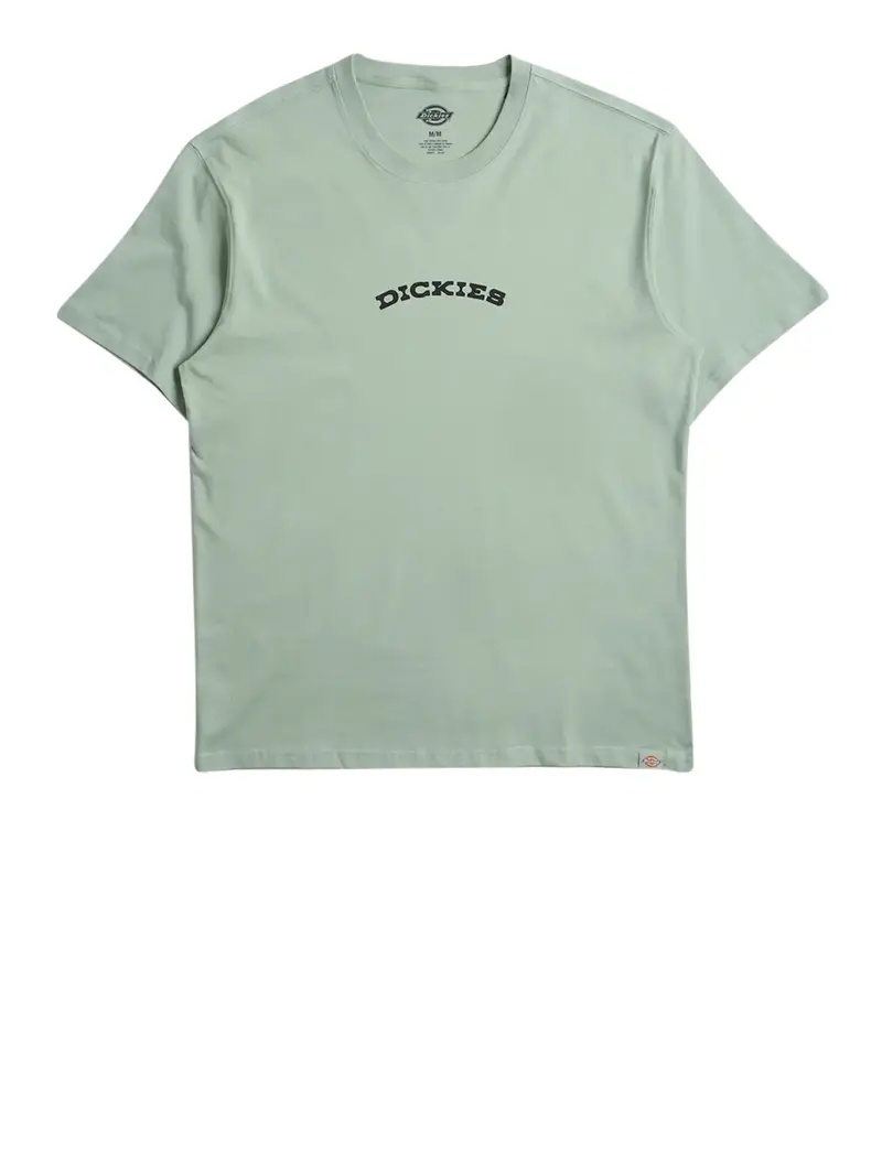 Dickies T-shirt Uomo Verde 2495629