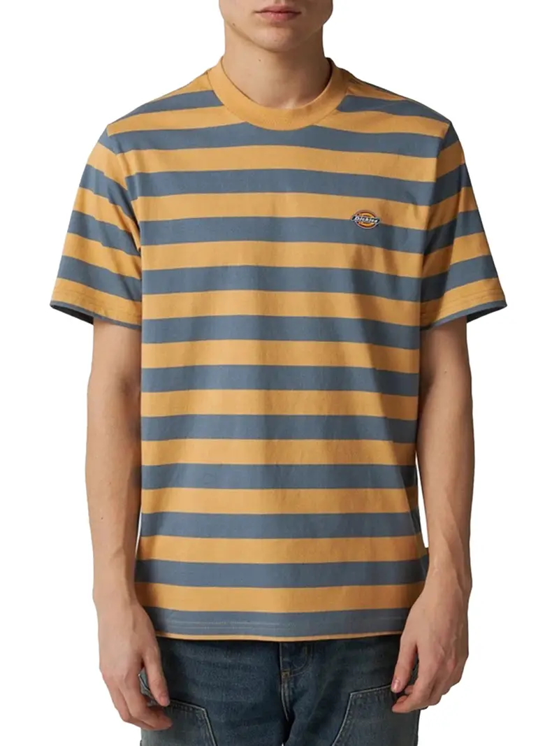 Dickies T-shirt Uomo Multicolore 2493332