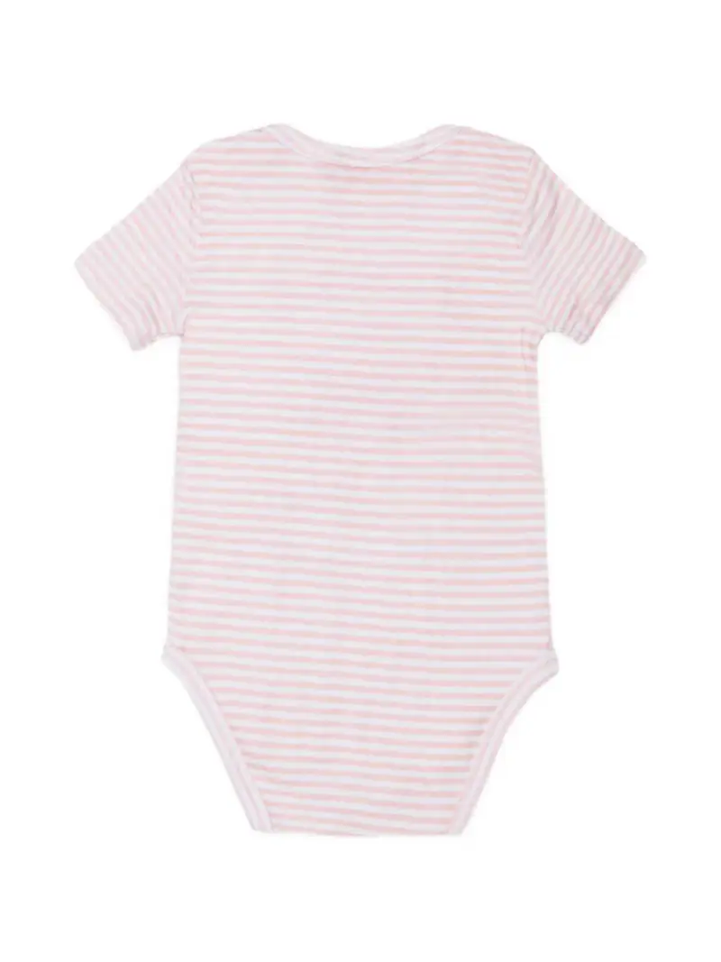 N00094KYA01K10PI Rosa miniatura 2