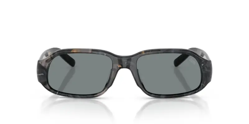 Unisex DIESEL DL2009F 2041/1 Occhiali da sole Acetato Grigio Grigio Squadrata Normale miniatura 3