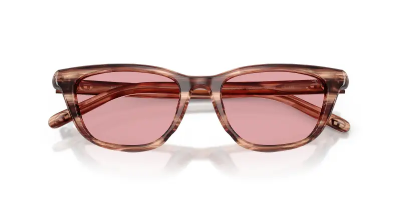 Unisex DIESEL DL2012U 203684 Occhiali da sole Acetato Marrone Viola Cat Eye Normale miniatura 2