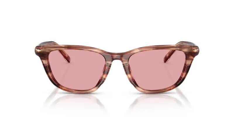 Unisex DIESEL DL2012U 203684 Occhiali da sole Acetato Marrone Viola Cat Eye Normale miniatura 3