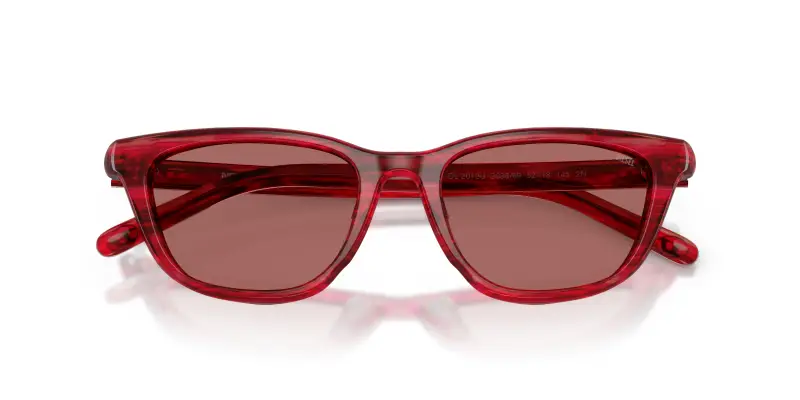 Unisex DIESEL DL2012U 203869 Occhiali da sole Acetato Rosso Viola Cat Eye Normale miniatura 2