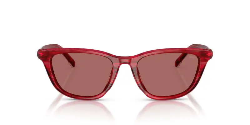 Unisex DIESEL DL2012U 203869 Occhiali da sole Acetato Rosso Viola Cat Eye Normale miniatura 3