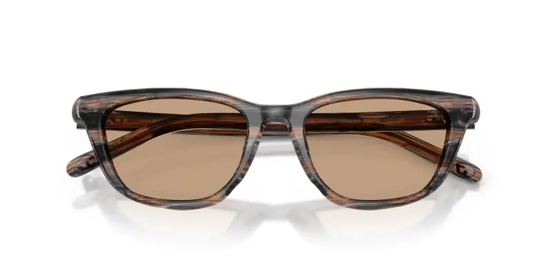 Unisex DIESEL DL2012U 203963 Occhiali da sole Acetato Grigio Marrone Cat Eye Normale miniatura 2