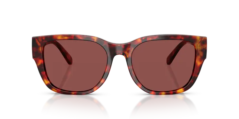 DIESEL Unisex DL2005 202375 Occhiali da sole Acetato Tartaruga Viola Squadrata Normale miniatura 2