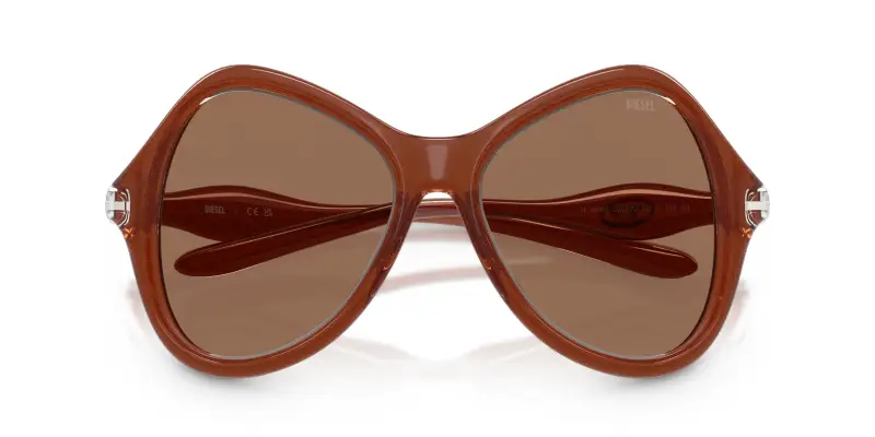 Unisex DL3010U 203373 Occhiali da sole Iniettato Trasparente Marrone Cat Eye Normale miniatura 2