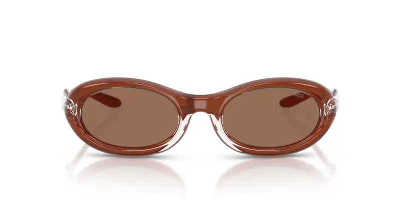 Unisex DL3011U 203373 Occhiali da sole Iniettato Trasparente Marrone Rotonda Normale miniatura 3