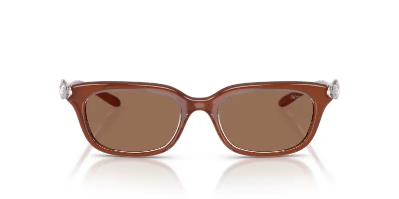 Unisex DL3013U 203373 Occhiali da sole Iniettato Marrone Marrone Squadrata Normale miniatura 3