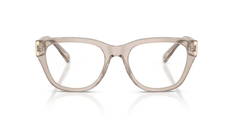 DIESEL Unisex DL4001F 2007 Montature da vista Acetato Grigio Trasparente Squadrata Normale miniatura 2