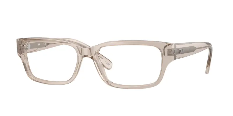 DIESEL Unisex DL4002 2007 Montature da vista Acetato Grigio Trasparente Squadrata Normale