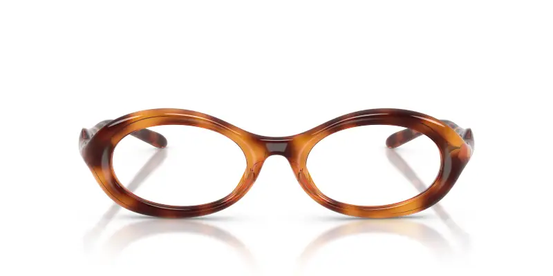 Unisex DL6005U 2003 Montature da vista Iniettato Tartaruga Trasparente Rotonda Normale miniatura 3