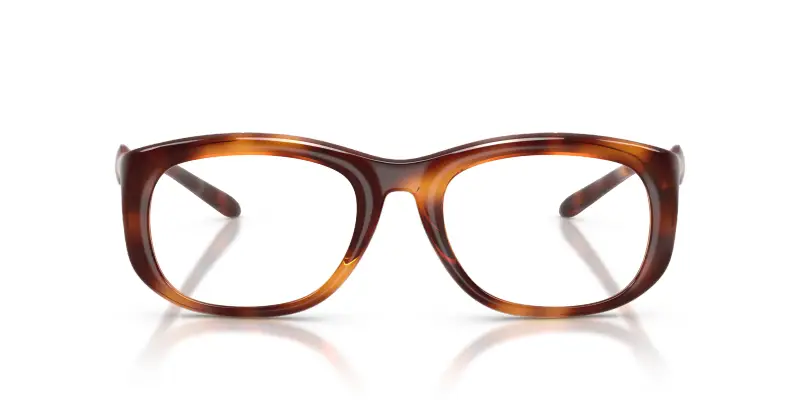 Unisex DL6006U 2003 Montature da vista Iniettato Tartaruga Trasparente Rotonda Normale miniatura 3