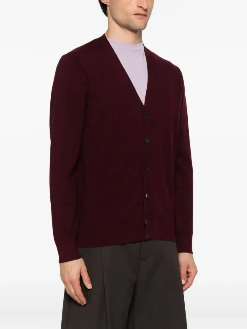 DK97004PRUGNA Bordeaux miniatura 3