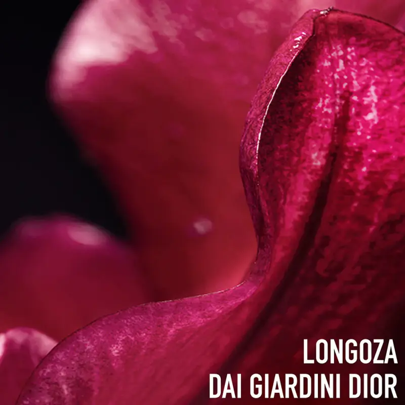 Anti-Età Globale Capture Totale C.E.L.L. Energy Super Potent Rich Creme - Trattamento antietà pelli mature, Crema antirughe miniatura 5