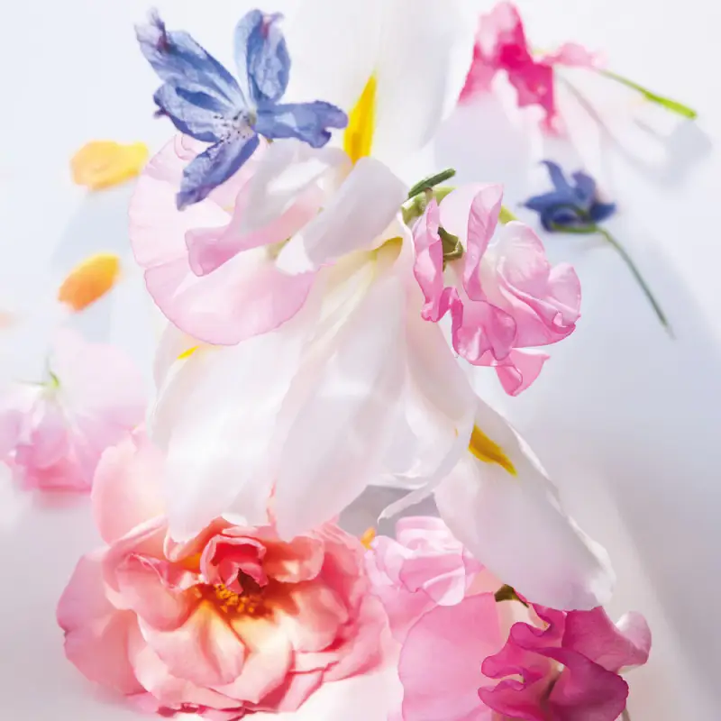 Dior Eau de Parfum Donna Rosa 3043645 miniatura 4