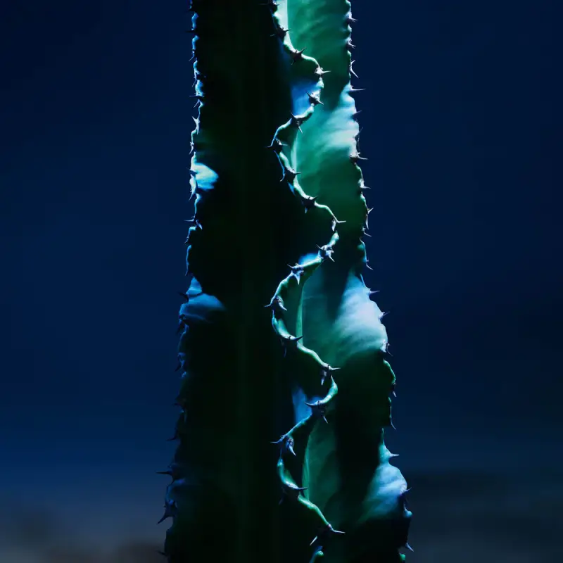 Dior Detergente viso Uomo Nero 2994754 miniatura 3