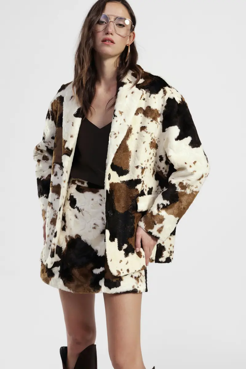 Dixie Blazer 3567179 miniatura 2