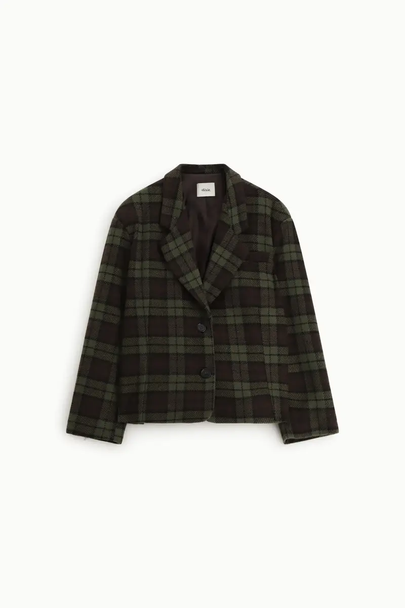 Dixie Blazer 3782742