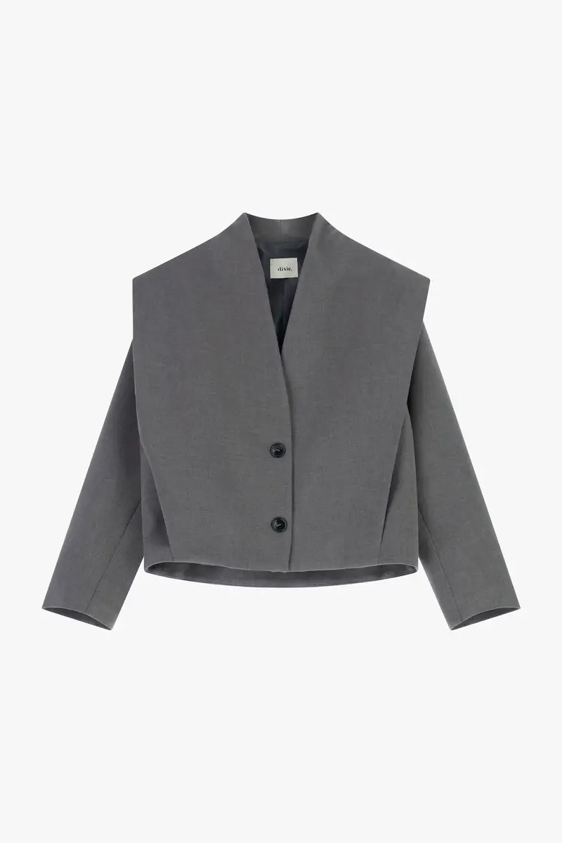 Dixie Blazer 4254499