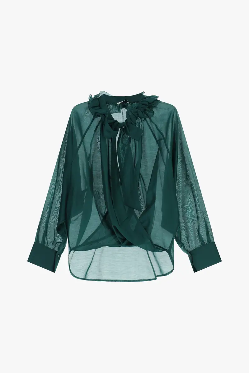Blusa trasparente con maniche lunghe e fiocco
